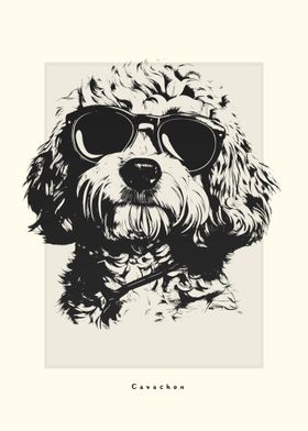 Cavachon Illustration