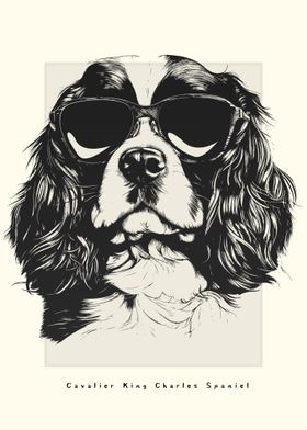 Cavapoo Illustration