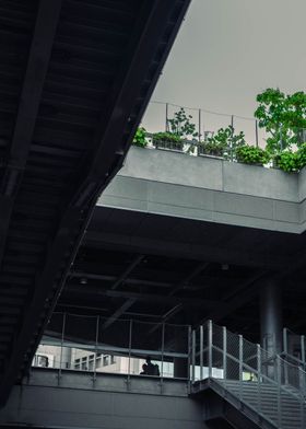 Rainy Day in Tokyo