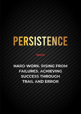 persistence definition