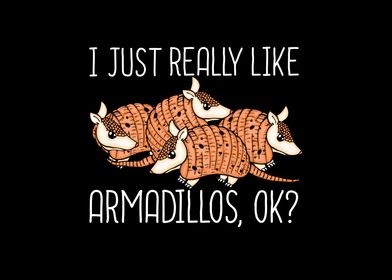 Armadillo Gift Wildlife