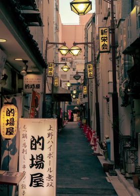 Path to Akihabara