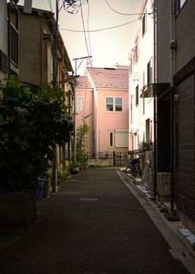 Midday Alleyway Sunshine