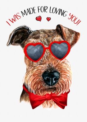 Airedale Terrier Dog Love