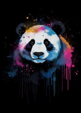 Panda Colorful