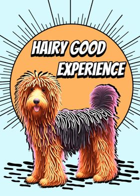 Hairy Good Experience