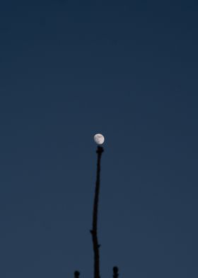 Moon on a stick