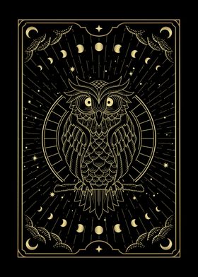 Sacred Owl