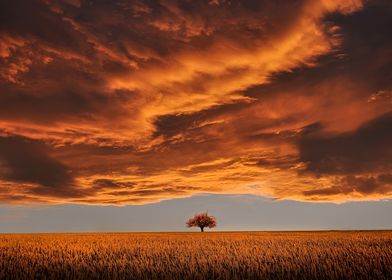 orange clouds