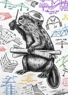 Beaver Civil Engineer W