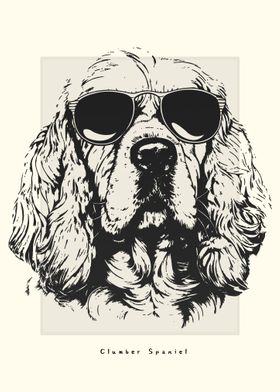 Clumber Spaniel Sketch