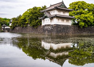 Tokyo Reflections