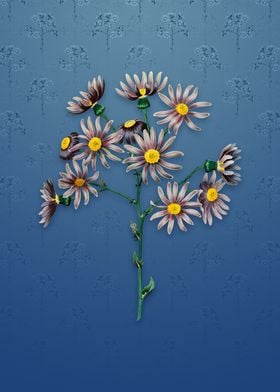 Lilac Senecio Flower