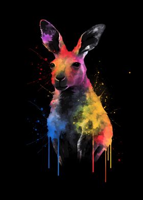 Kangaroo Colorful Australi