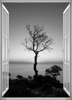 Window view tree sea