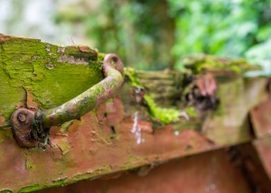 Door clinker and greenery