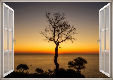 Window view tree sea