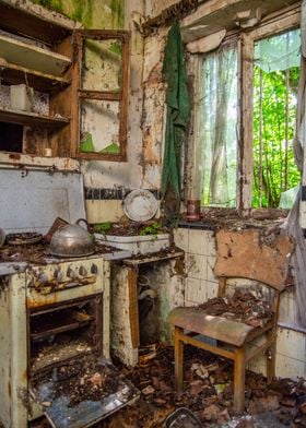 Mushroom kitchen