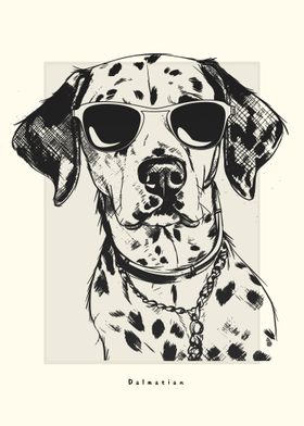 Dalmatian Illustration