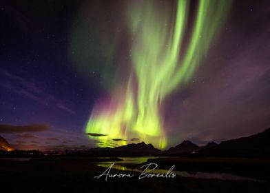 Aurora Borealis 