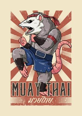 Muay Thai