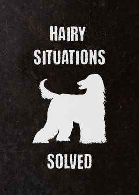 Groomers Hairy Situations