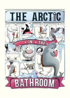 Arctic Animals using Bath