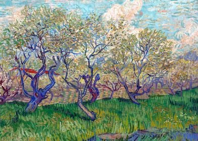 Orchard in Blossom