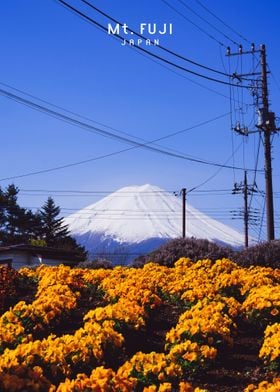 Mount Fuji  