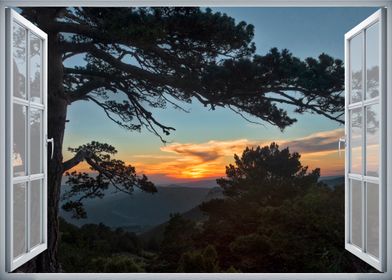 Window view tree sunset