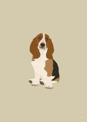 Basset Hound Illustration