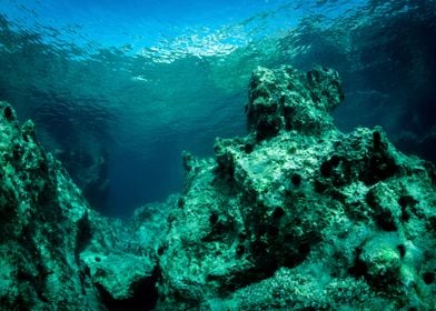 Underwater Landscape