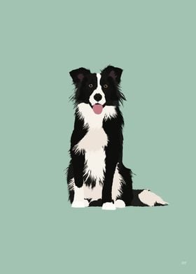 Border Collie Illustration