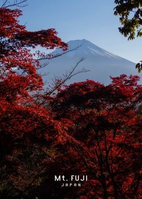 Mount Fuji 