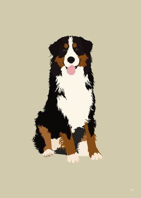 Bernese Mountain Dog