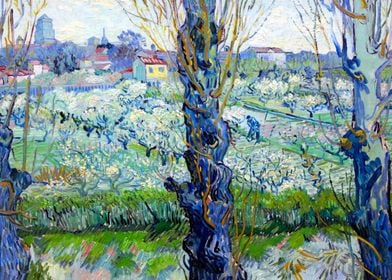 Arles Flowering Orchards