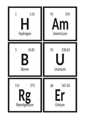 Elements of Hamburger