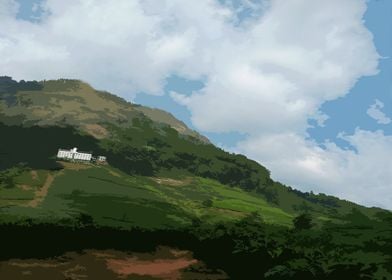 Munnar Tea Garden 3