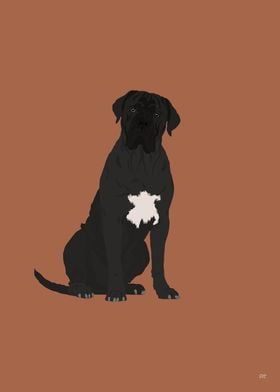 Cane Corso Illustration