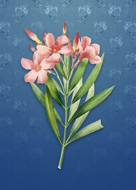 Oleander on Bahama Blue