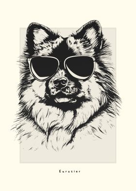 Eurasier Illustration