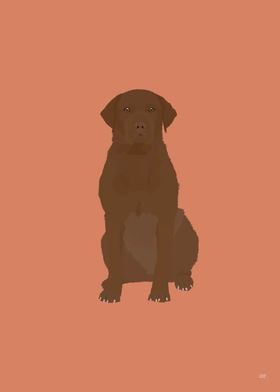 Chesapeake Bay Retriever