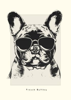 French Bulldog Sketch