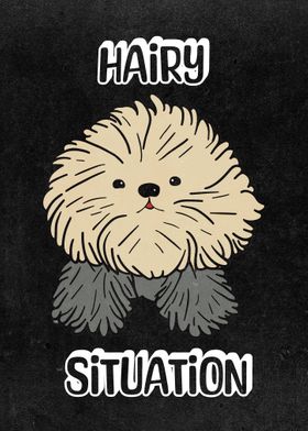 Groomers Funny Hairy