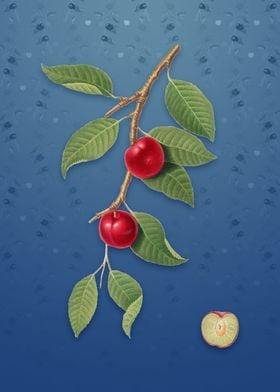 Vintage Cherry Plum