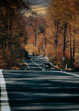 Autumn road, trees, travel