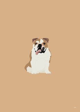 Bulldog Illustration