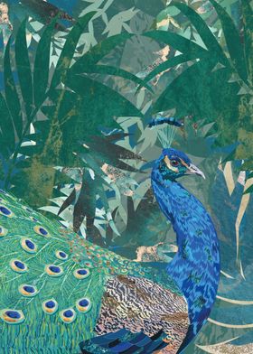 Tropical peacock jungle