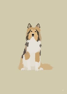 Collie Dog Illustration