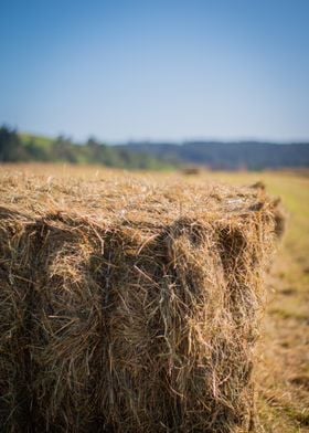 A bale of straw